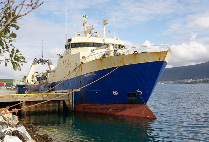 by Evgeny Palashkevich