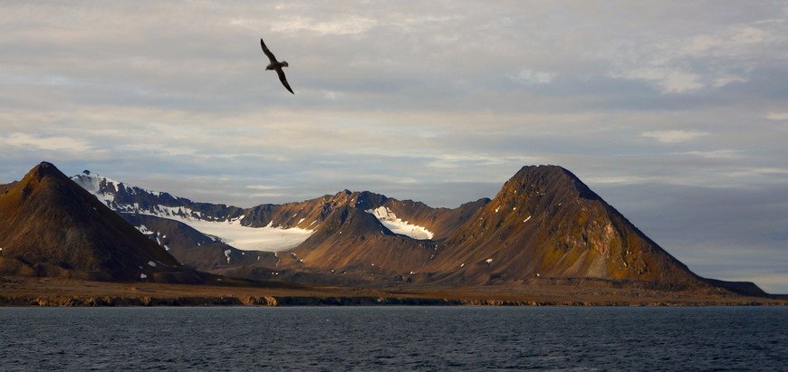 by Evgeny Palashkevich