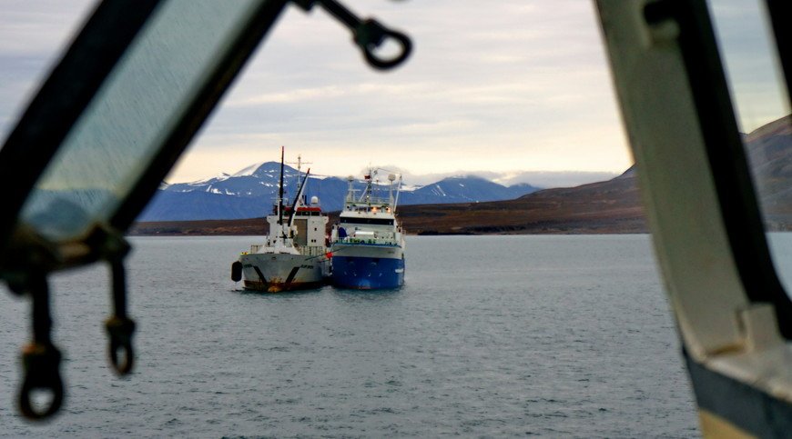 by Evgeny Palashkevich