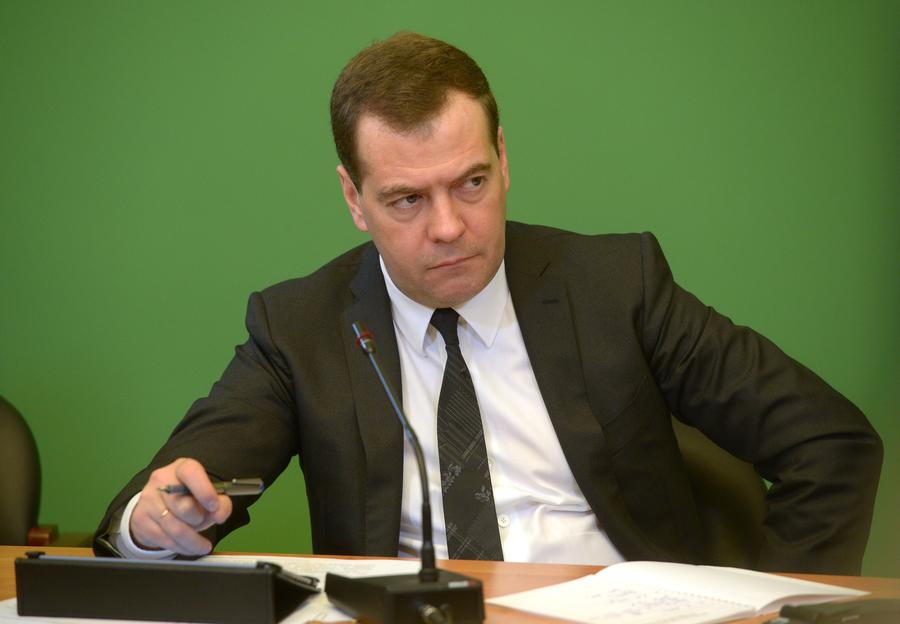 Дмитрий Медведев: Ни одна аграрная программа в РФ не будет сокращена