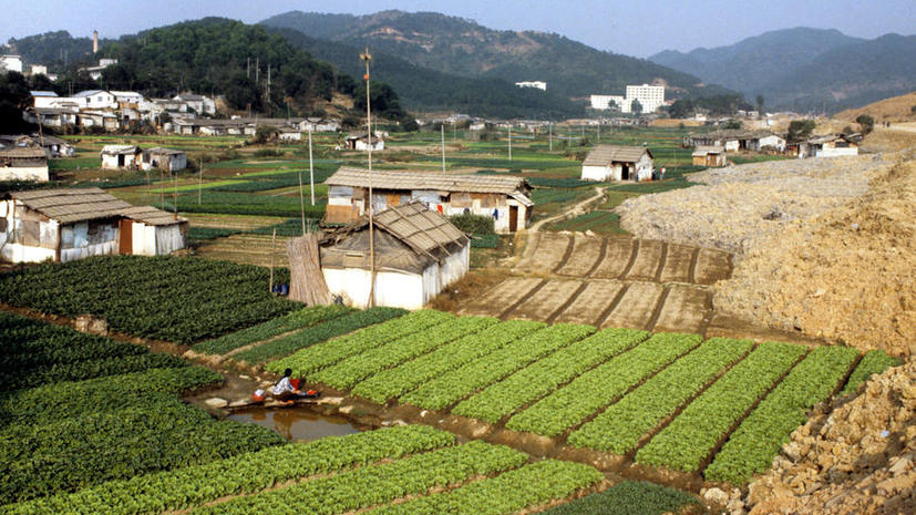 Доклад: Более одной пятой сельскохозяйственных земель Китая токсичны