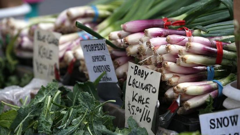 Британцы ежегодно выбрасывают 15 млн тонн продуктов питания