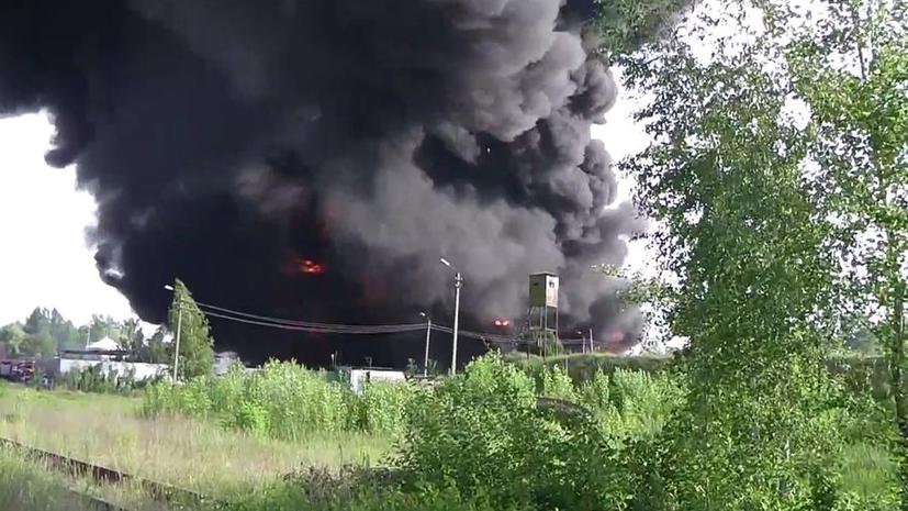 Эколог: Пожар в пригороде Киева может привести к отравлению тысяч человек