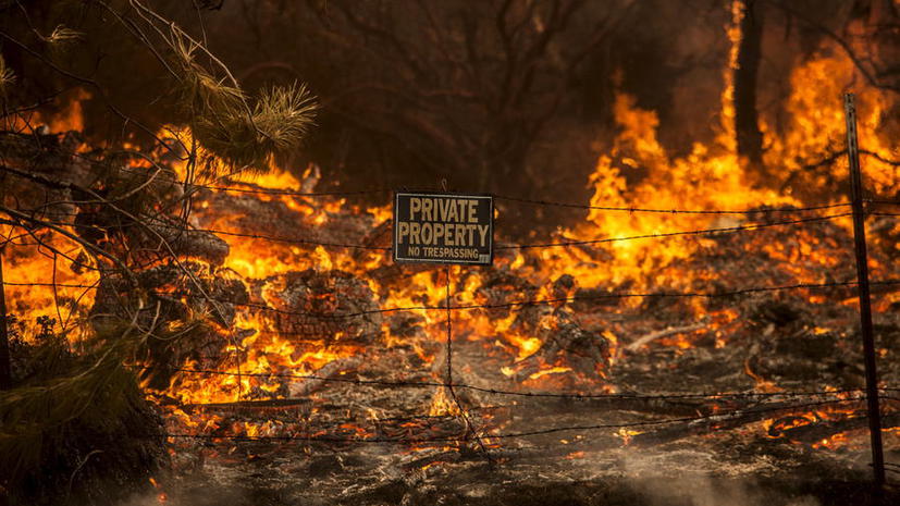 В Калифорнии объявлен режим чрезвычайной ситуации из-за лесных пожаров, есть жертвы