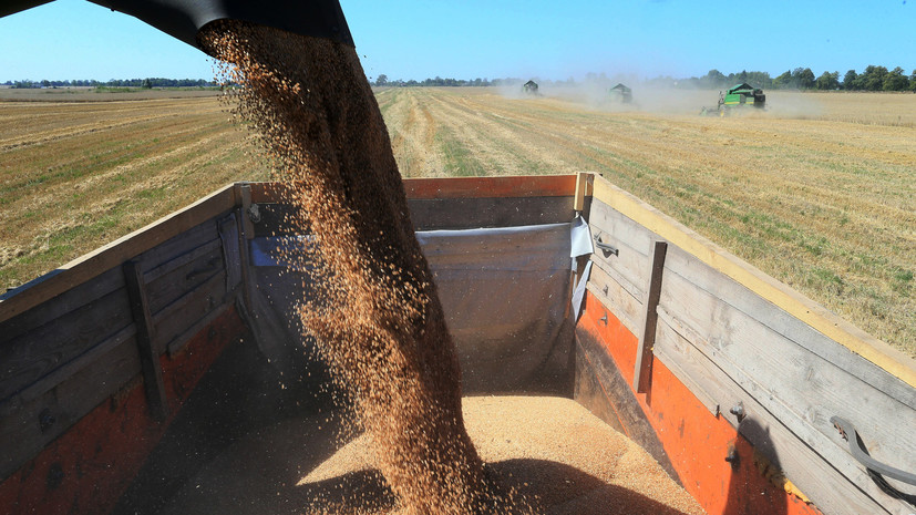 Россия поставит в Китай пшеницу, рис и пресную воду