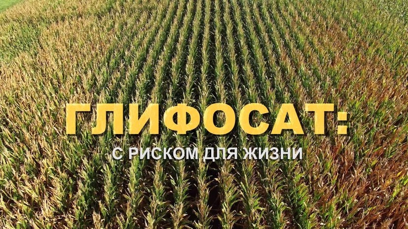 Тот ещё фрукт: фильм-расследование о химикатах в сельском хозяйстве на RTД