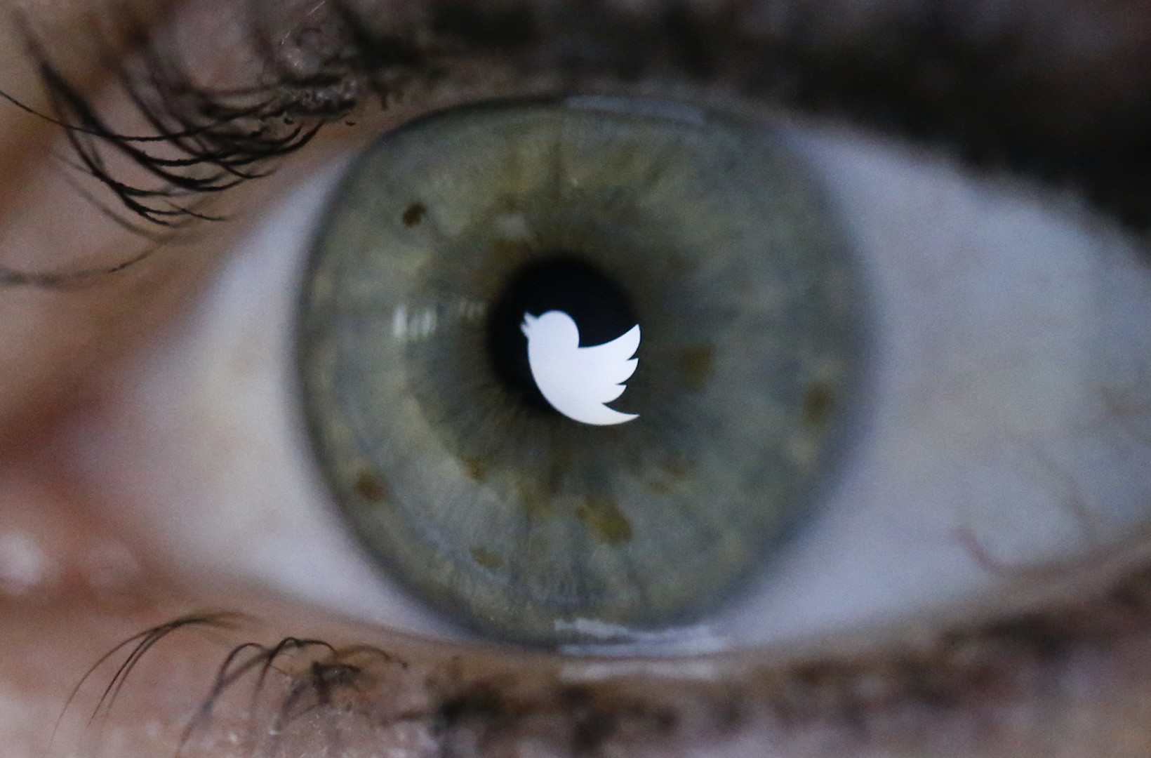 В Twitter появилась функция «ночного режима» для пользователей iOS