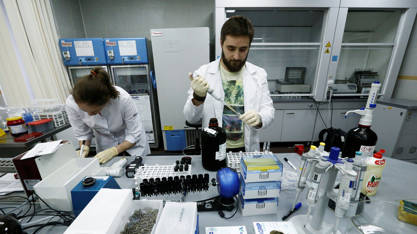 «Легко сказать, что виноваты русские»: эксперты о взломе базы данных WADA