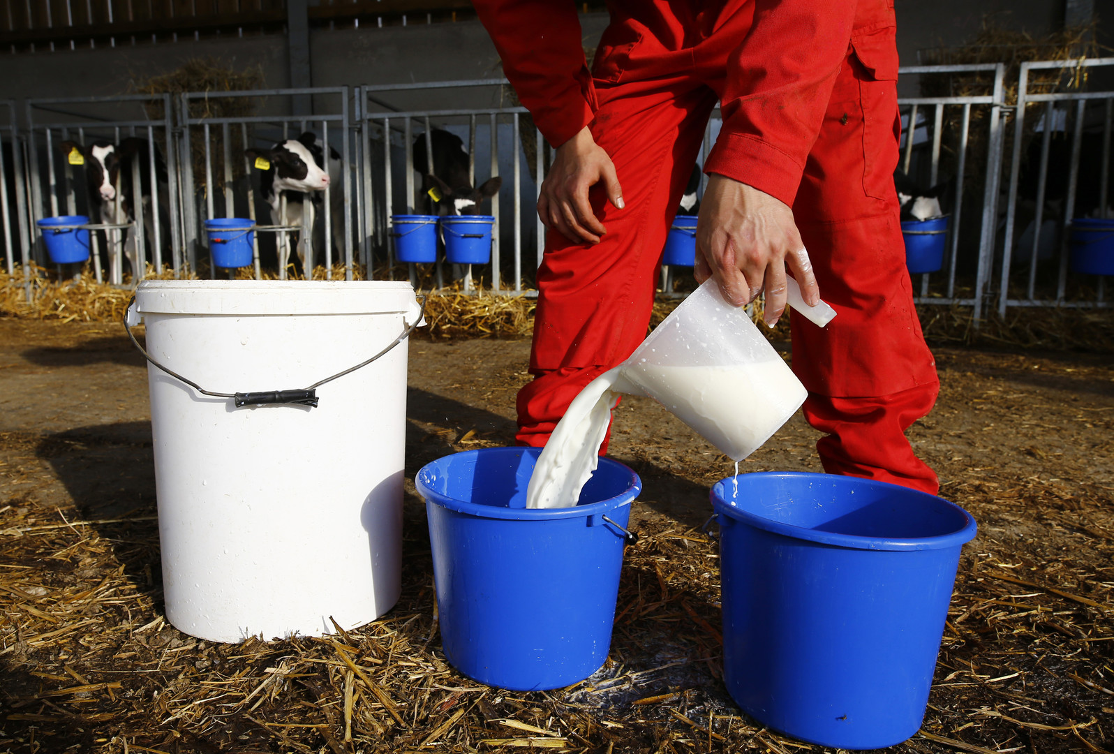 Продукты не для всех: 48% россиян склонны к непереносимости молока