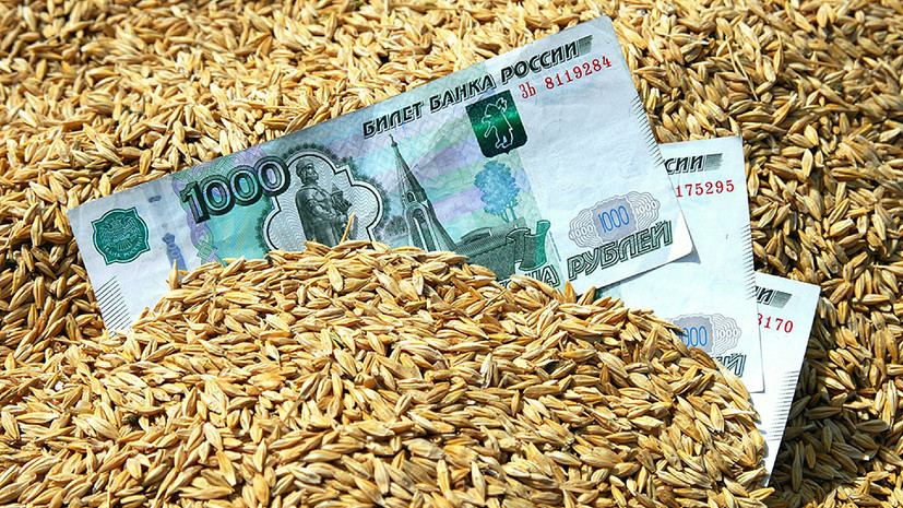 Здравое зерно: США прогнозируют лидерство России в мировом экспорте пшеницы