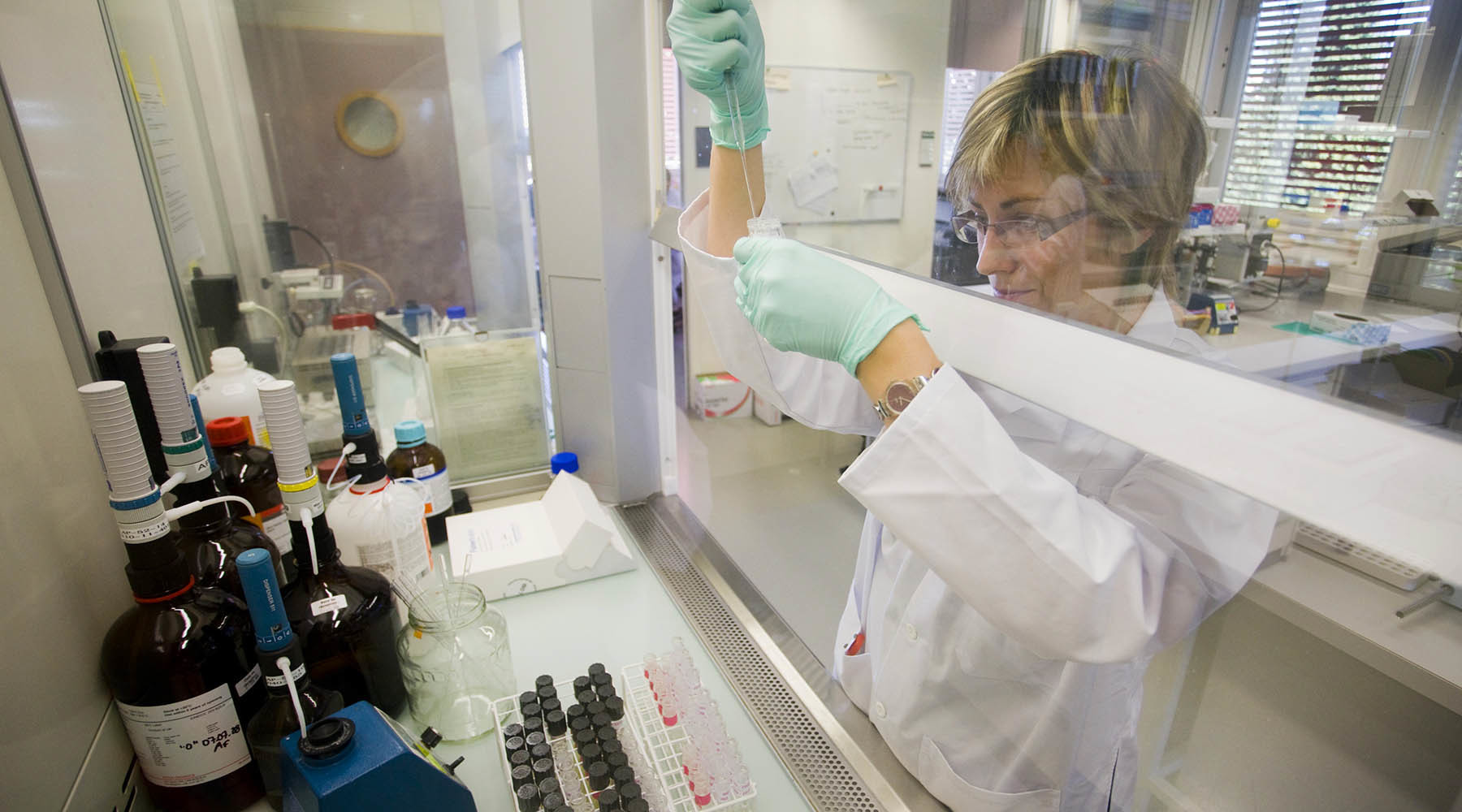 Признать доклад Макларена и вернуть допинг-пробы: WADA выдвинуло требования по восстановлению РУС