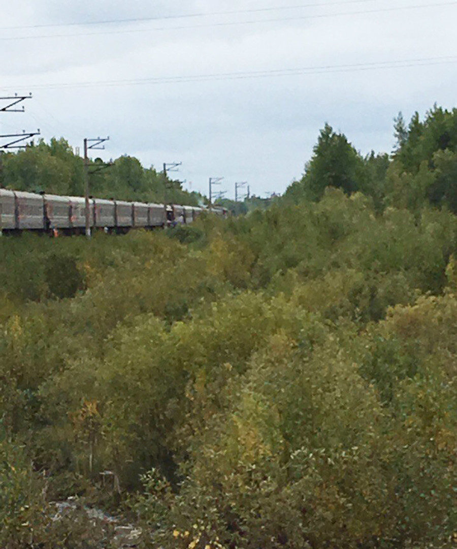 Краснодар нижневартовск поезд