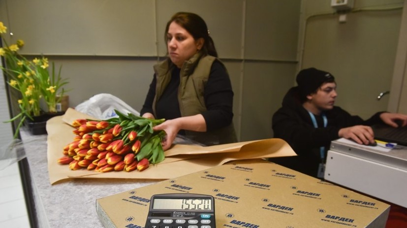 В Госдуме предложили зафиксировать цены на цветы