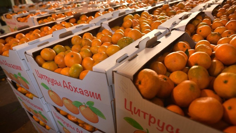 Россельхознадзор временно ограничил ввоз всей растительной продукции из Абхазии