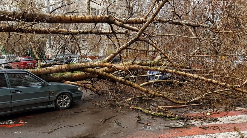 В Москве объявлено экстренное предупреждение из-за непогоды