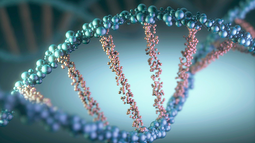 Узловой элемент: учёные обнаружили в клетках человека новую форму ДНК