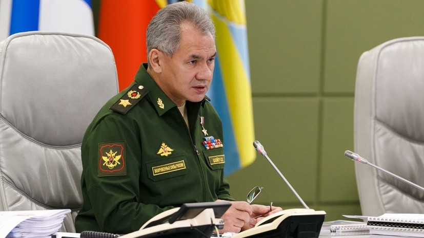 Шойгу заявил об устойчивом расширении военного сотрудничества с Египтом
