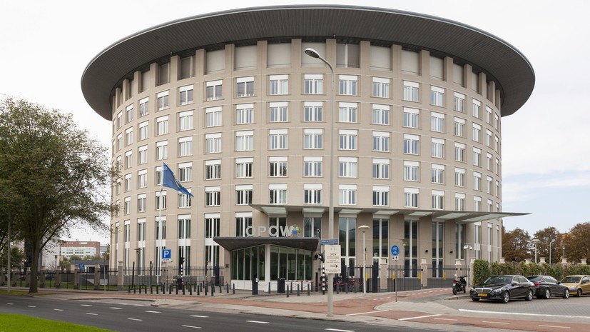 Правительство определило состав делегации России на конференции ОЗХО