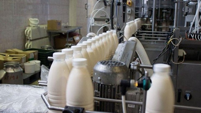 Россельхознадзор не планирует снимать все ограничения на ввоз молока из Белоруссии