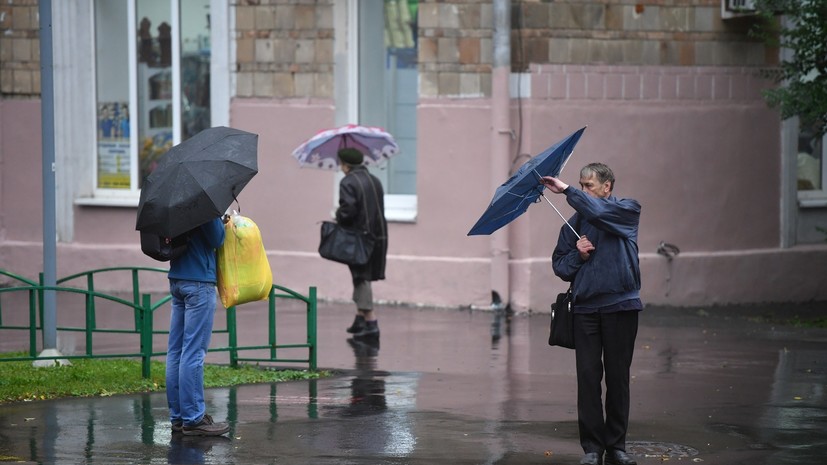 МЧС предупреждает об усилении ветра в Москве в ближайшие часы