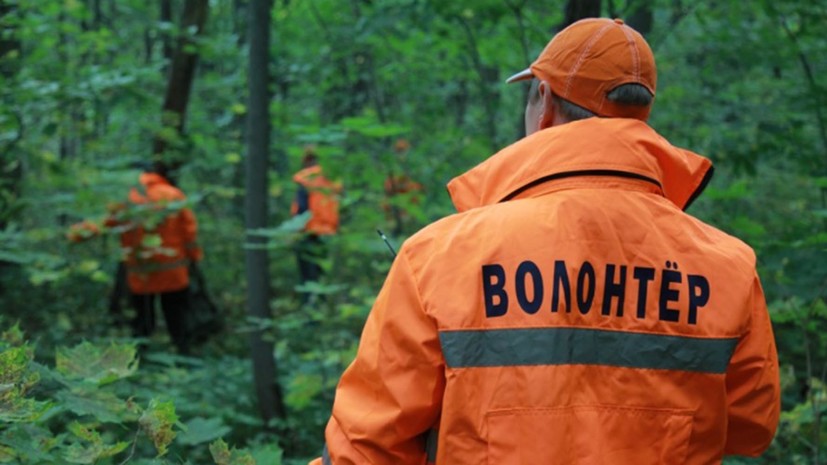 Волонтёры проинформировали о звонке свидетеля принятия в убийстве корреспондента Грачёва