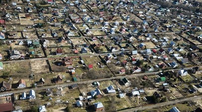 В Подмосковье могут ввести крупный штраф для собственников участков, заросших борщевиком
