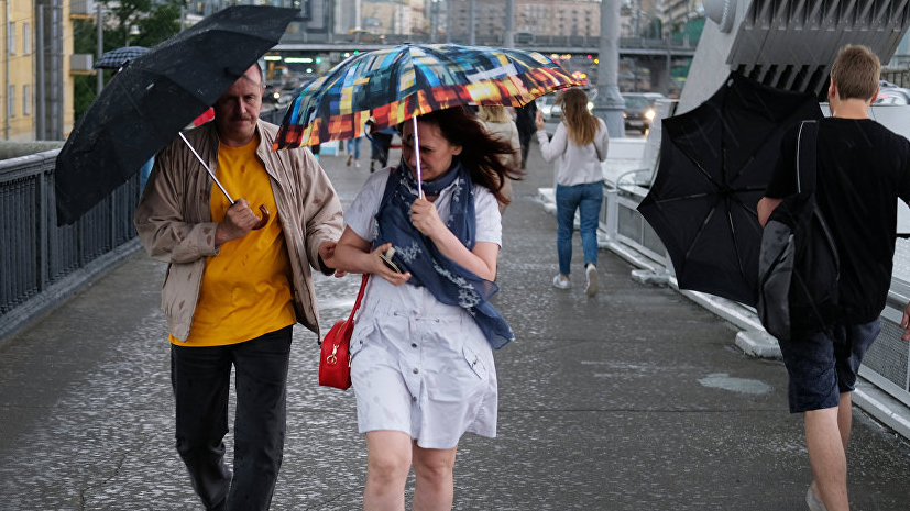 В МЧС предупредили о грозе и сильном ветре в ближайшие часы в Москве