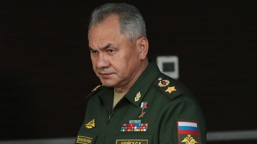 Шойгу: работу по установке единой системы управления ПВО в Сирии завершат к 20 октября