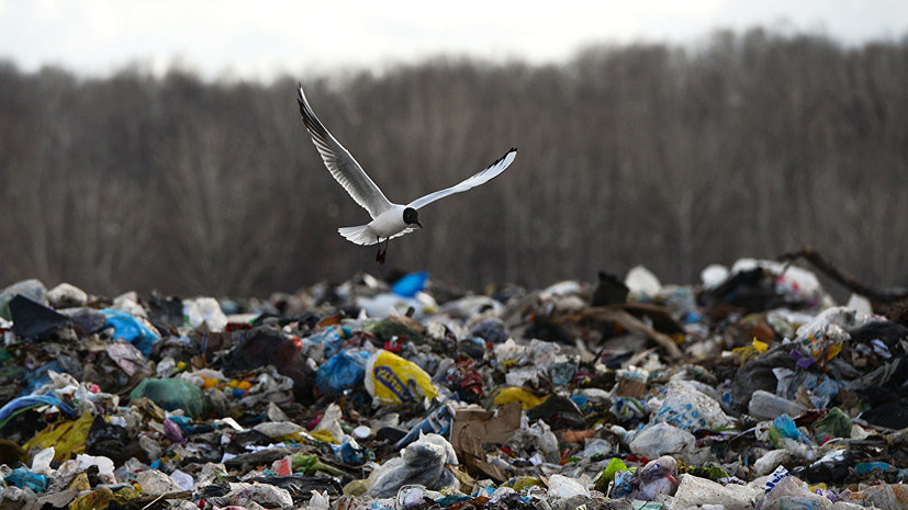 В Кирове управляющие компании обязали ежедневно отчитываться о вывозе мусора