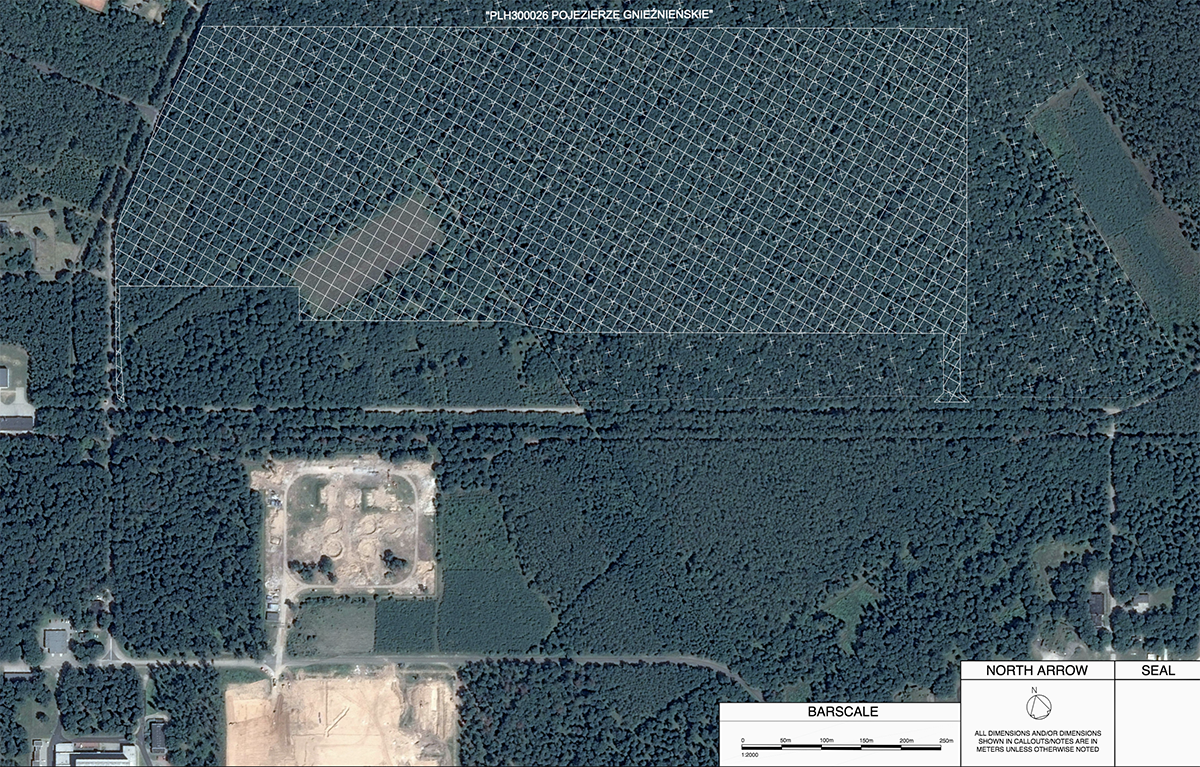 Битва с природой: США планируют вырубить охраняемые леса в Польше для расширения военной базы (ФОТО, КАРТА)