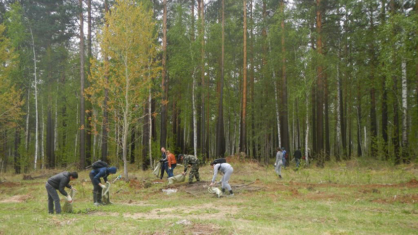 Лес гражданину рф. Центр защиты леса Иркутской области. Охрана леса. Защита лесов. Защитные Лесные насаждения.