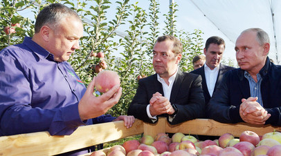 «Любит яблоки и неравнодушен к грушам»: глава ставропольского хозяйства рассказал о визите Путина