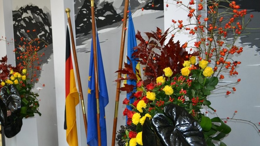 Посольство Германии обеспокоено ростом числа нападений на активистов на Украине
