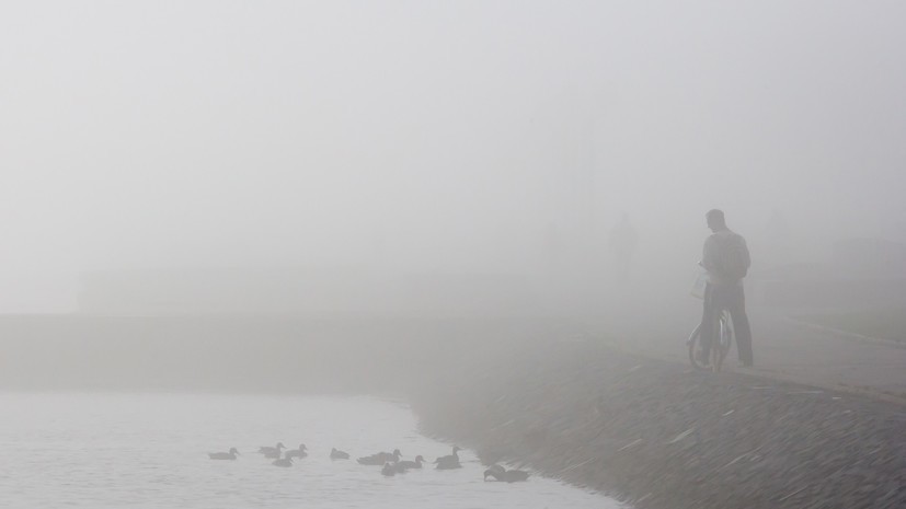 МЧС предупредило о сильном тумане в Москве