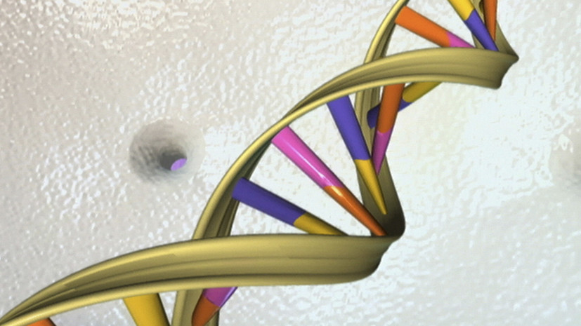 СМИ сообщили об исчезновении в Китае изменившего ДНК эмбрионов учёного