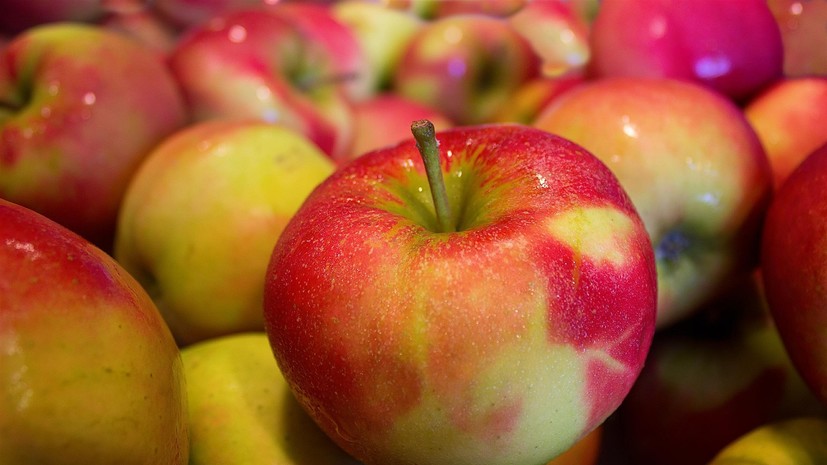 В Новосибирской области пресечён незаконный ввоз более 70 тонн яблок, помидоров, орехов и изюма