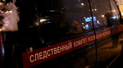 В Челябинской области завели дело по факту смерти девятилетней девочки