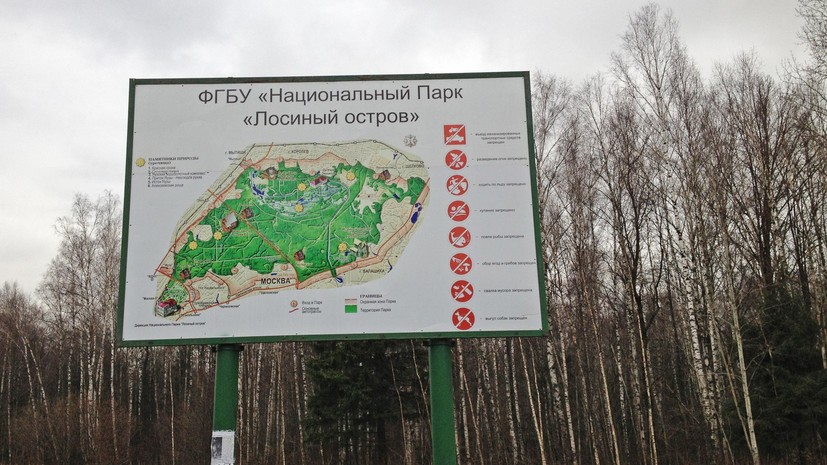 Потерявшийся шестилетний ребёнок провёл ночь в парке «Лосиный Остров»