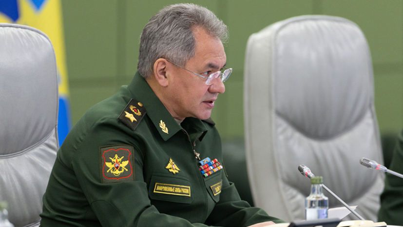 Шойгу проинформировал Путина и членов Совбеза России о визите в Сирию