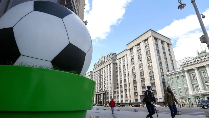 Госдума приняла закон о безвизовом въезде в Россию для болельщиков Евро-2020