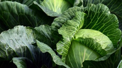 Росстат назвал наиболее подорожавший в марте продукт
