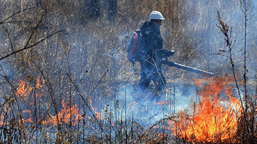 В 17 районах Коми объявили особый противопожарный режим