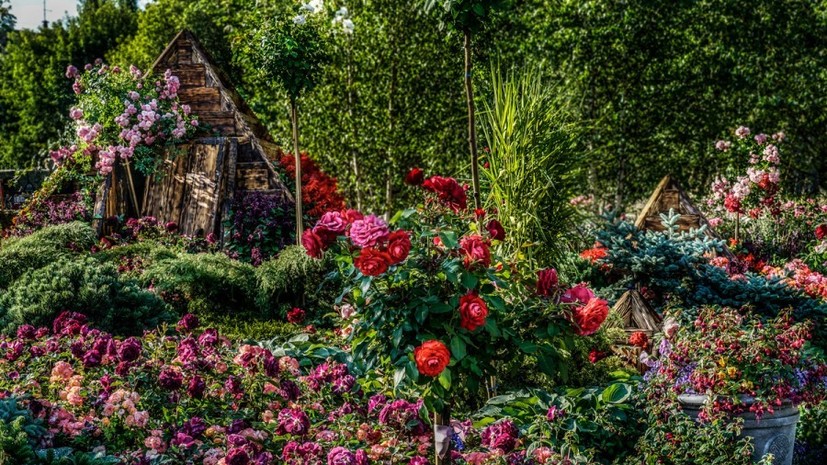 Фестиваль садов и цветов Moscow Flower Show пройдёт с 10 по 21 июля