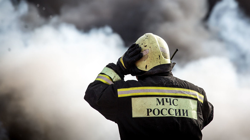 Лесной пожар в Самарской области локализован