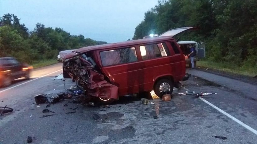 Глава Воронежской области пообещал помощь выжившей в ДТП девочке