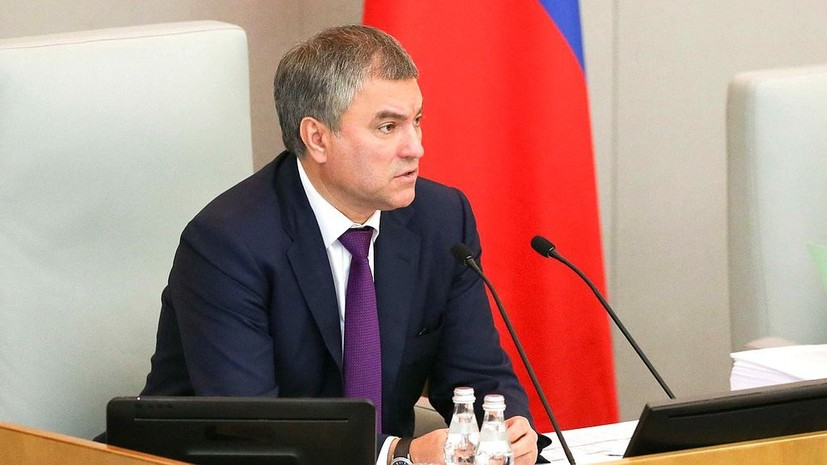 Володин и Гречаная договорились о диалоге между парламентами России и Молдавии