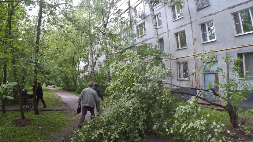 В Москве из-за непогоды пострадали четыре человека