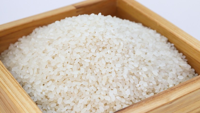 Адыгея планирует увеличить валовой сбор риса-сырца к 2024 году