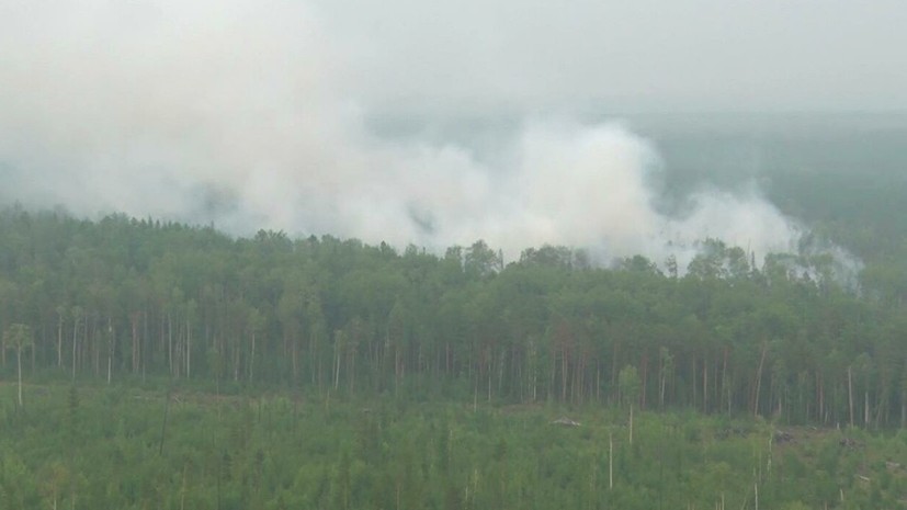 В Генпрокуратуре заявили об искажении статистики по лесным пожарам