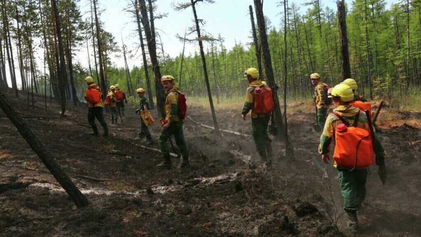 В Генпрокуратуре заявили о случаях намеренного поджога леса в Сибири